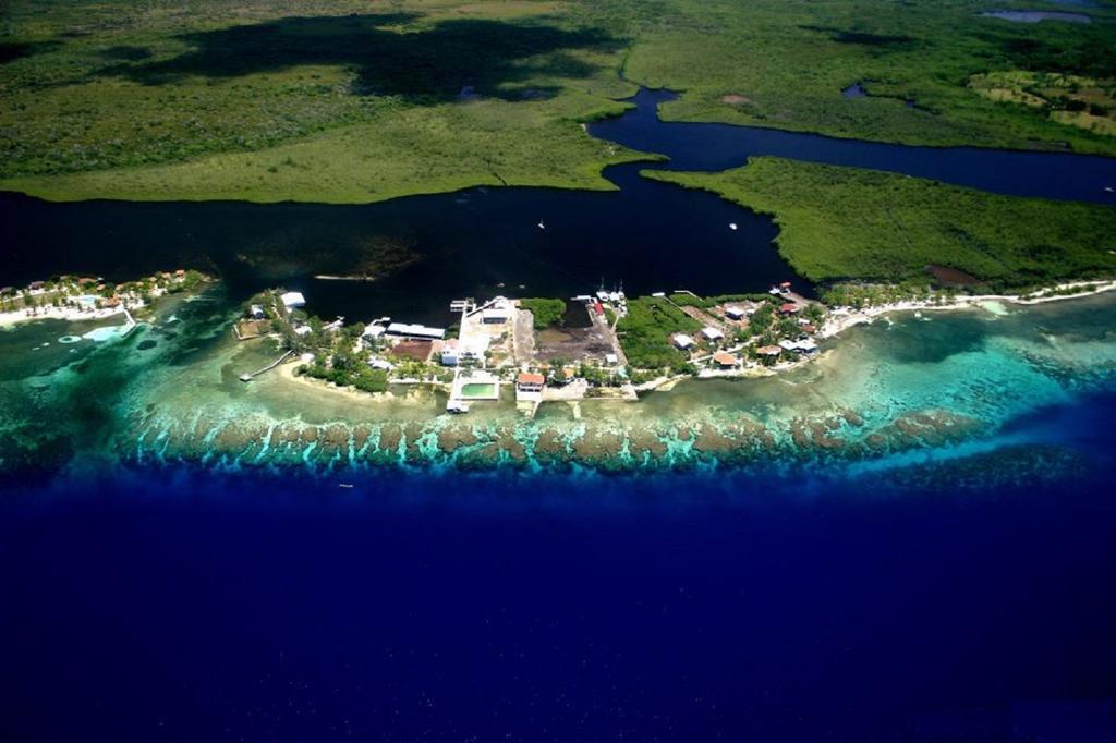 Coral View Beach Resort Utila Εξωτερικό φωτογραφία