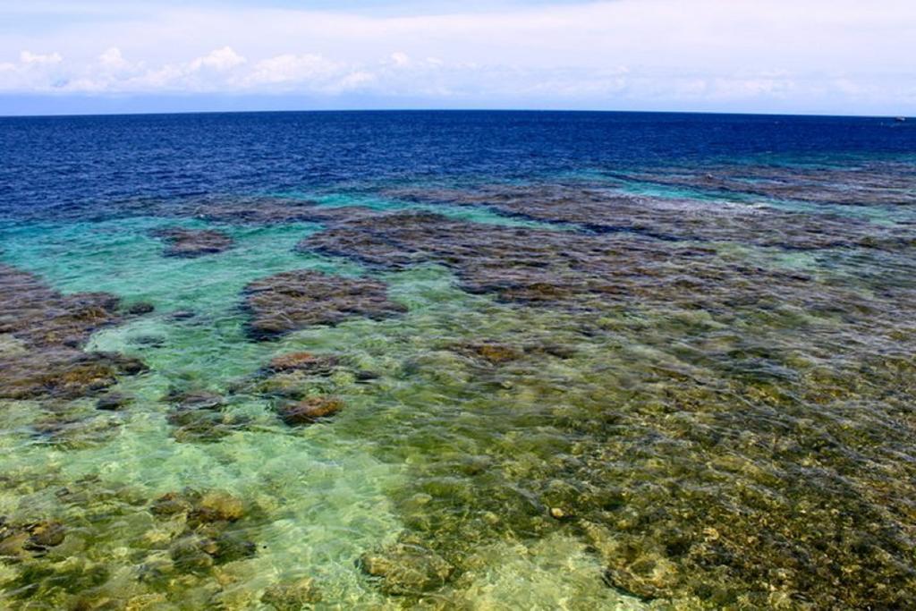 Coral View Beach Resort Utila Εξωτερικό φωτογραφία